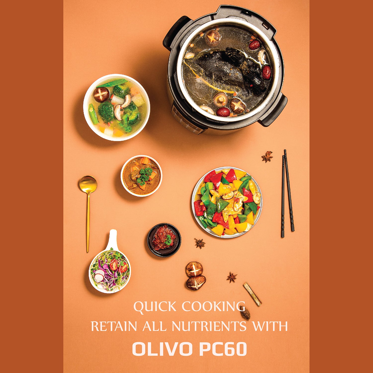 OLIVO PC60 Multifunctional Electric Pressure Cooker - 16 Preset Modes - Capacity 6L – Power 1000W