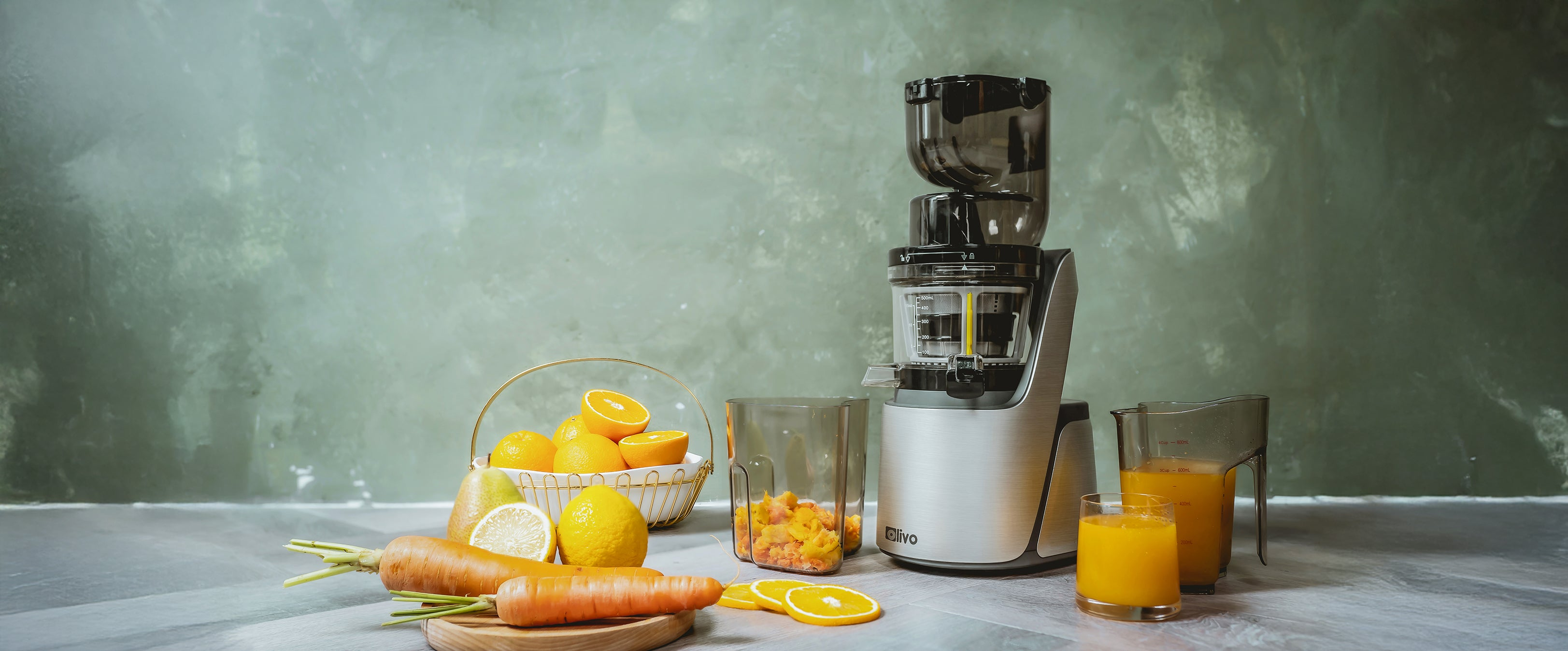 Slow Juicer