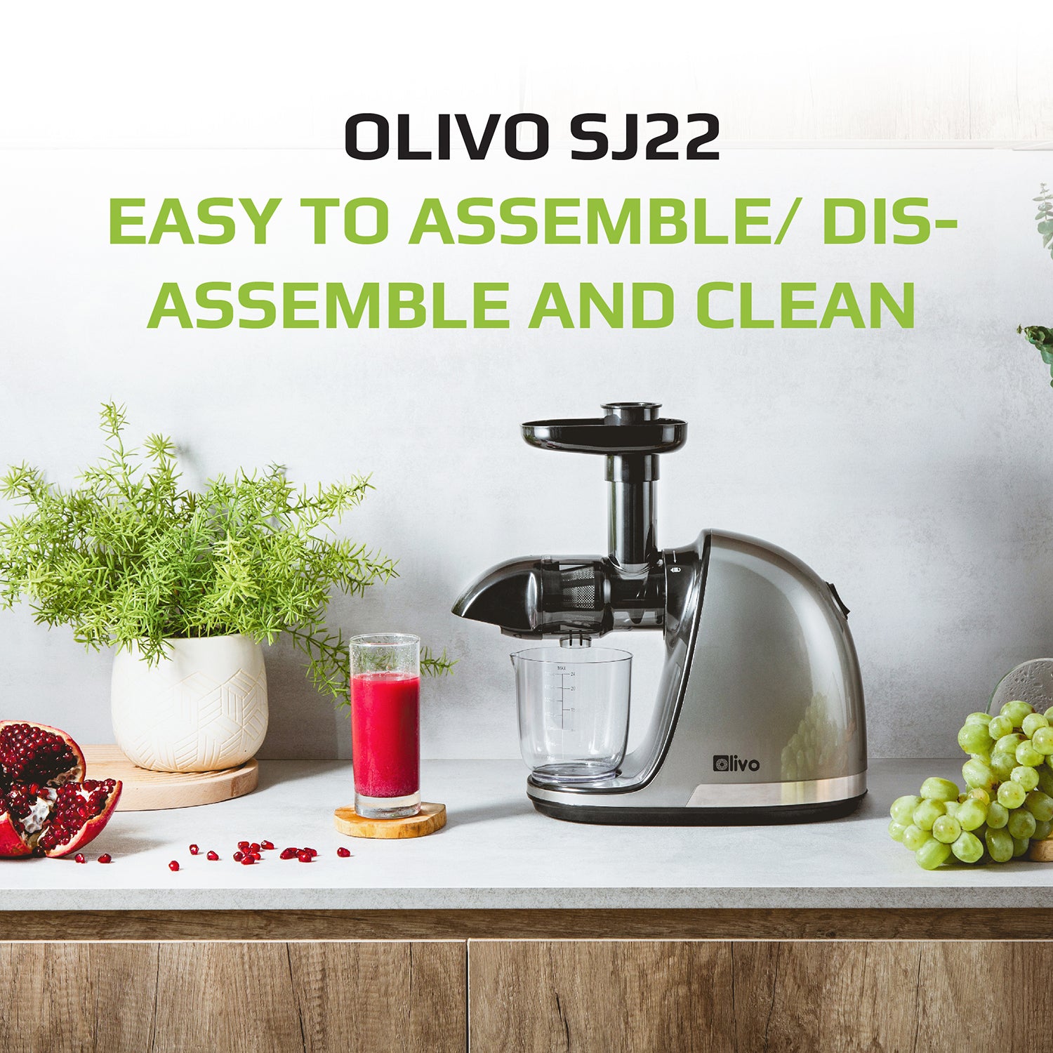 OLIVO SJ22 Horizontal Slow Juicer - Squeeze Vegetables Without Worryin